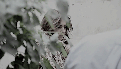 77_28929.gif