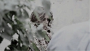 Имя файла=77_28929.gif
Размер файла=1109КБ
Размеры=245x140
Дата=Нояб 15, 2015 77_28929.gif