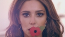Remembering_the_Fallen_with_a__TwoMinuteSilence_mp40027.jpg
