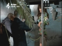 _Cheryl_Tweedy_-_Shooting___Cheryl__-_Making_of_Call_My_Name_-__May_2012_-snoop-_mpg0095.jpg