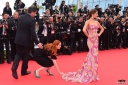 Имя файла=Slack_Bay_Ma_Loute_-_Red_Carpet_Arrivals_-_The_69th_Annual_Cannes_Film_Festival_13_05_16_2842029.jpg
Размер файла=2710КБ
Размеры=2700x1797
Дата=Май 15, 2016 Slack_Bay_Ma_Loute_-_Red_Carpet_Arrivals_-_The_69th_Annual_Cannes_Film_Festival_13_05_16_2842029.jpg