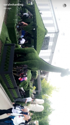 Chelsea_Flower_Show_2016_23_05_16_281729.jpg