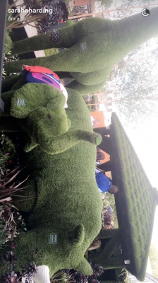 Chelsea_Flower_Show_2016_23_05_16_281829.jpg