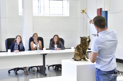 Britain_s_Happiest_Cat_Auditions_-_O2_Refresh_29_04_15_28529.jpg