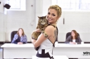 Britain_s_Happiest_Cat_Auditions_-_O2_Refresh_29_04_15_28329.jpg