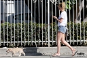 Walking_Chad_s_dog_in_Los_Angeles_06_10_17_28929.jpg