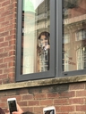 Имя файла=Arriving_at_The_Princes_Trust_Cheryls_Trust_Centre_in_Newcastle_20_02_18_2817229.jpg
Размер файла=511КБ
Размеры=1536x2048
Дата=Фев 22, 2018 Arriving_at_The_Princes_Trust_Cheryls_Trust_Centre_in_Newcastle_20_02_18_2817229.jpg