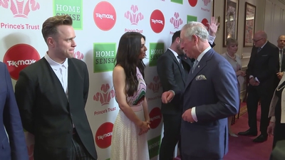 Prince_Charles_meets_hosts_Ant_and_Dec_at_Prince_s_Trust_Awards_mp40114.jpg