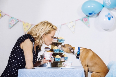 Helen_Yates_Blue_Cross_Paws_For_Tea_28229.jpg