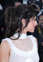 Ash_Is_Purest_White_premiere_at_the_71st_Cannes_Film_Festival_in_Cannes_11_05_18_2810229.jpg