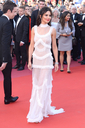 Ash_Is_Purest_White_premiere_at_the_71st_Cannes_Film_Festival_in_Cannes_11_05_18_2813229.jpg