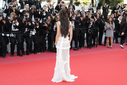 Ash_Is_Purest_White_premiere_at_the_71st_Cannes_Film_Festival_in_Cannes_11_05_18_2819029.jpg