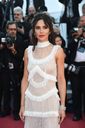 Ash_Is_Purest_White_premiere_at_the_71st_Cannes_Film_Festival_in_Cannes_11_05_18_2823629.jpg