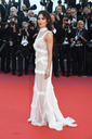 Ash_Is_Purest_White_premiere_at_the_71st_Cannes_Film_Festival_in_Cannes_11_05_18_2823829.jpg