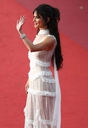 Ash_Is_Purest_White_premiere_at_the_71st_Cannes_Film_Festival_in_Cannes_11_05_18_2824829.jpg