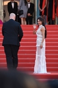 Ash_Is_Purest_White_premiere_at_the_71st_Cannes_Film_Festival_in_Cannes_11_05_18_282529.jpg