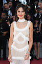 Ash_Is_Purest_White_premiere_at_the_71st_Cannes_Film_Festival_in_Cannes_11_05_18_2826329.jpg