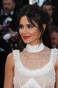Ash_Is_Purest_White_premiere_at_the_71st_Cannes_Film_Festival_in_Cannes_11_05_18_2826629.jpg