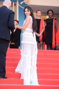 Ash_Is_Purest_White_premiere_at_the_71st_Cannes_Film_Festival_in_Cannes_11_05_18_2827229.jpg