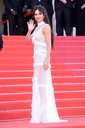 Ash_Is_Purest_White_premiere_at_the_71st_Cannes_Film_Festival_in_Cannes_11_05_18_2827429.jpg