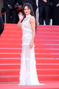 Ash_Is_Purest_White_premiere_at_the_71st_Cannes_Film_Festival_in_Cannes_11_05_18_2827529.jpg