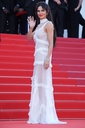 Ash_Is_Purest_White_premiere_at_the_71st_Cannes_Film_Festival_in_Cannes_11_05_18_2829029.jpg
