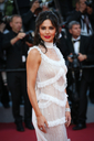 Ash_Is_Purest_White_premiere_at_the_71st_Cannes_Film_Festival_in_Cannes_11_05_18_283229.jpg