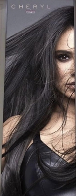 EasiLocks_281229.jpg