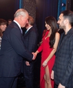 We_are_most_Amused_and_Amazed_comedy_gala_for_Prince_Charles27_70th_birthday_at_The_London_Palladium_in_London2C_UK_22_10_18_28729.jpg