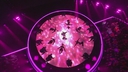 Cheryl_sings_Love_Made_Me_Do_It___Live_Shows_Week_5___The_X_Factor_UK_2018_mp40320.jpg