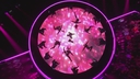 Cheryl_sings_Love_Made_Me_Do_It___Live_Shows_Week_5___The_X_Factor_UK_2018_mp40323.jpg
