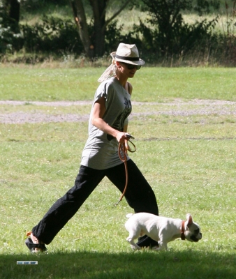 Sarah_Harding_and_Tom_Crane_seen_taking_their_dog_for_a_walk_310709_25.jpg