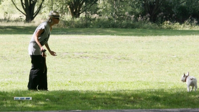 Sarah_Harding_and_Tom_Crane_seen_taking_their_dog_for_a_walk_310709_26.jpg