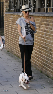 Sarah_Harding_and_Tom_Crane_seen_taking_their_dog_for_a_walk_310709_53.jpg