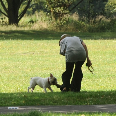 Sarah_Harding_and_Tom_Crane_seen_taking_their_dog_for_a_walk_310709_73.jpg