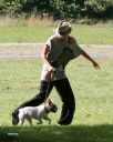 Sarah_Harding_and_Tom_Crane_seen_taking_their_dog_for_a_walk_310709_24.jpg
