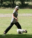 Sarah_Harding_and_Tom_Crane_seen_taking_their_dog_for_a_walk_310709_25.jpg