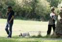 Sarah_Harding_and_Tom_Crane_seen_taking_their_dog_for_a_walk_310709_29.jpg