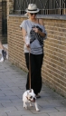 Sarah_Harding_and_Tom_Crane_seen_taking_their_dog_for_a_walk_310709_60.jpg