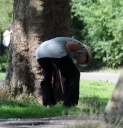 Имя файла=Sarah_Harding_and_Tom_Crane_seen_taking_their_dog_for_a_walk_310709_65.jpg
Размер файла=279КБ
Размеры=1499x1557
Дата=Март 09, 2012 Sarah_Harding_and_Tom_Crane_seen_taking_their_dog_for_a_walk_310709_65.jpg