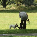 Имя файла=Sarah_Harding_and_Tom_Crane_seen_taking_their_dog_for_a_walk_310709_73.jpg
Размер файла=273КБ
Размеры=1500x1500
Дата=Март 09, 2012 Sarah_Harding_and_Tom_Crane_seen_taking_their_dog_for_a_walk_310709_73.jpg