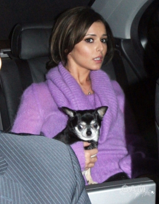 Cheryl_Cole_is_seen_leaving_the_studios_of_the_X_Factor_161009_10.jpg